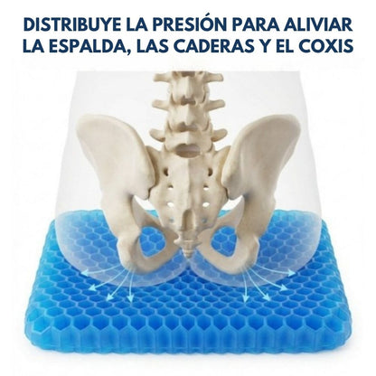 Cojín de Gel - Norvenia