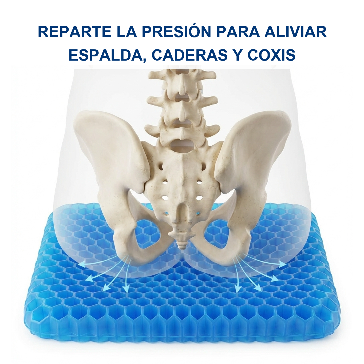 Reparte la presión para aliviar espalda, caderas y coxis